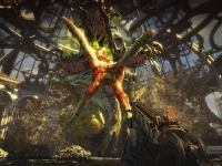 Bulletstorm