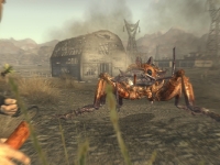 Fallout: New Vegas